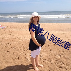 夏(夏)珠(珠)八胞胎(胎)章(章)节目录