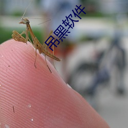 吊黑軟件