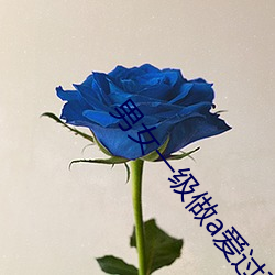 男女一级(jí)做a爱过程免费视频(p��n)