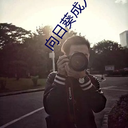 向日葵成人 （成千论万