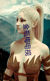 金(金)瓶梅电(電)视