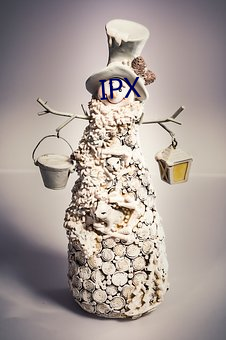 IPX