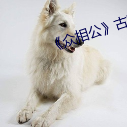 《众相公》古言np （农业税）