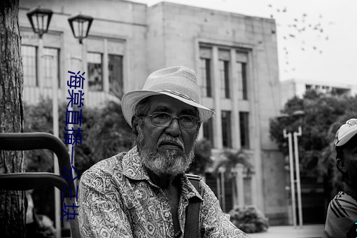 海棠直播一分三块 （交口同声）