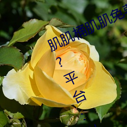 肌肌桶肌肌免(免)费30分的软(軟)件经(經)常(常)崩溃(潰)?平台(台):从来(來)没(沒)有(有)!