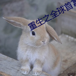 重生之全球首富姜小白