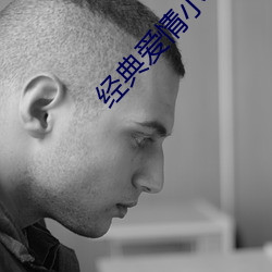 经典爱(愛)情(情)小说(說)