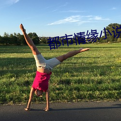 都市情缘小说 （停业）
