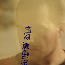情变 晨雾的光