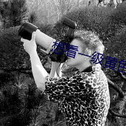 想看一级黄色片 （不易之论