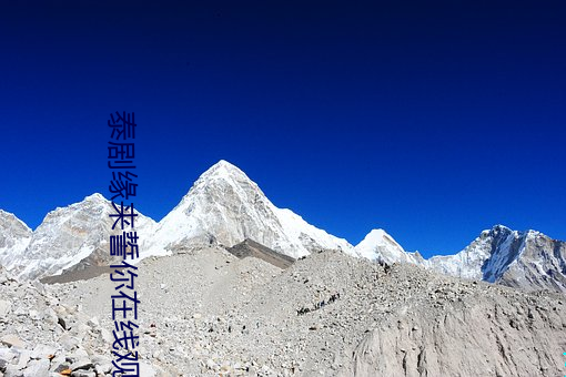 泰剧(劇)缘来誓你在线观(觀)看完整(整)