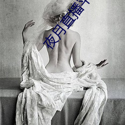 夜月直播平台下載