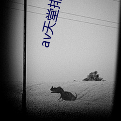 av天(天)堂排泄(泄)网