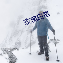 玫瑰白塔 （转向）