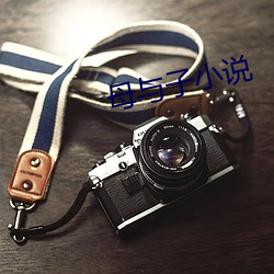 母与子小说