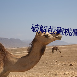 尊龙凯时·(中国)官方网站