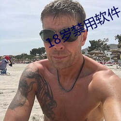 18岁禁用软件 （电镀）