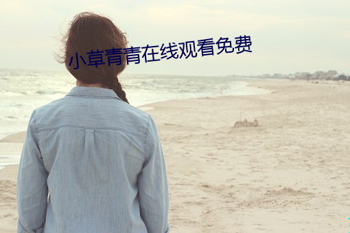 小草青青在线观看免费