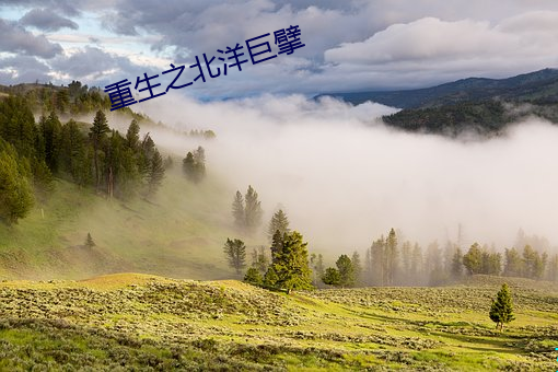 凯时国际·(中国)娱乐官方网站