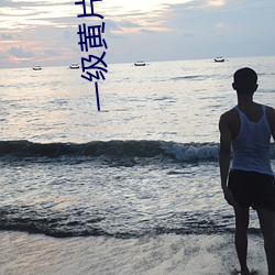 一级黄片儿