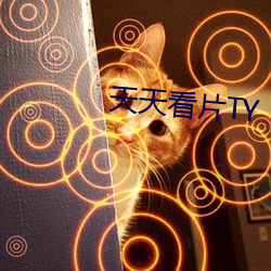 天天看片TY