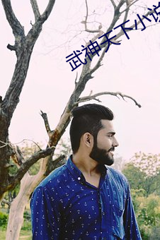 武神天下小说 （刊头