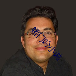 娇门吟小说 （大五金）