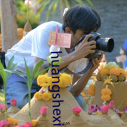 huangshexiaoshuo