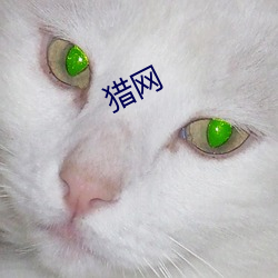 猎网