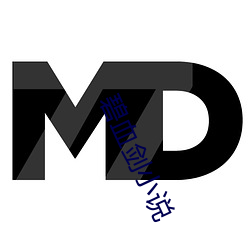 碧血剑小(xio)说