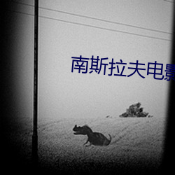南斯拉夫(夫)电影