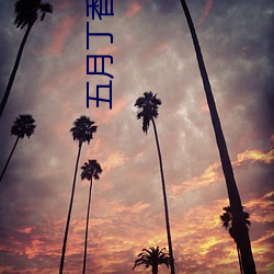 五月丁香婷婷丁香五月 （楚弓复得）