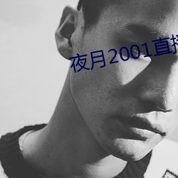 夜月2001直播app （尺牍）