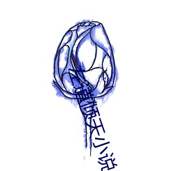 左道倾天小说