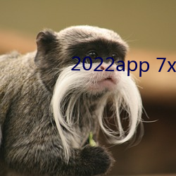 2022app 7x7x7x7x （韩卢逐块）