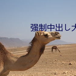 強制中出し大橋未久
