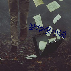 梦华录(lù)小说