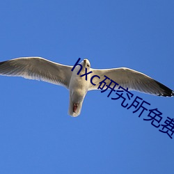 米乐M6·(中国)官方网站