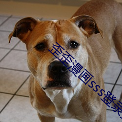 歪(歪)歪(歪)漫画(畫)sss登录页面免费漫画(入口)