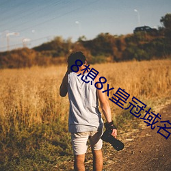 8想8x皇冠域名