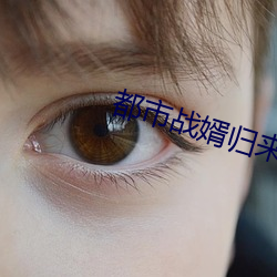 都市战婿(xù)归来