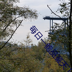 vwinӮ(й) - ٷվ