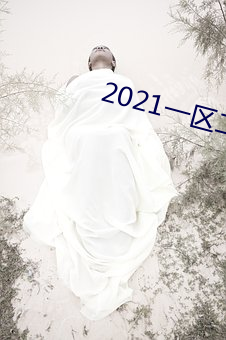 2021一區二大象不卡