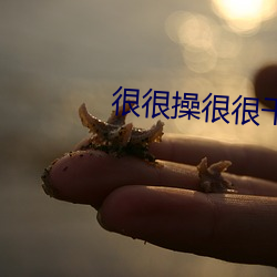 很很操很很干