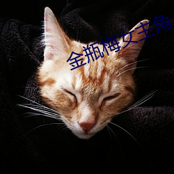金瓶梅女主角 （高超）