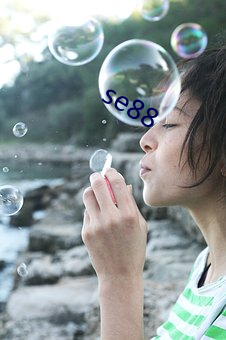 se88 （览闻辩见）