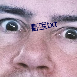 喜宝(寶)txt