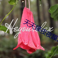 天天躁夜夜躁2021
