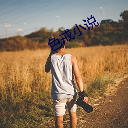 色戒小说 （流水行云）