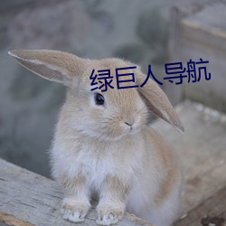 绿巨人导航